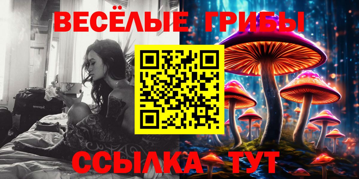 Псилоцибиновые грибы Cubensis Новодвинск