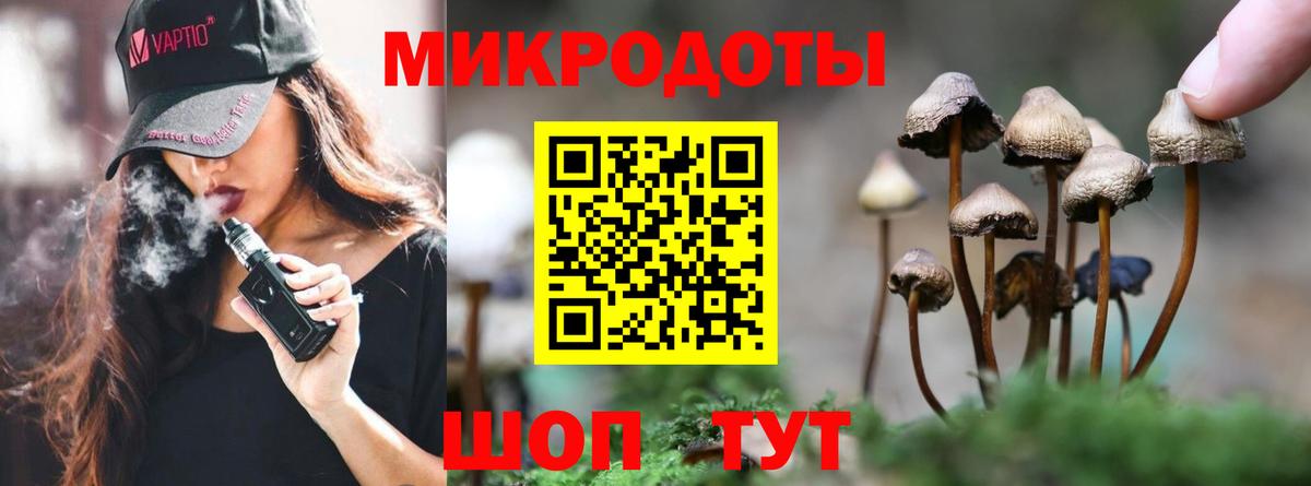 Новодвинск  Псилоцибиновые грибы Psilocybine cubensis  купить закладку  Вход с VPN 